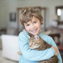 24아프리카동물메디컬센터 이미지