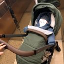 허브그린 | 줄즈허브2 포레스트 그린 사용 후기(내돈내산)