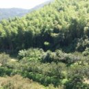 하청면사무소 이미지