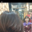 톤앤톤헤어