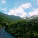 창정농장 이미지