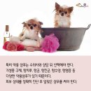 신이경의 바로정형외과의원 이미지