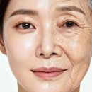 바이오밸리길 아시아경제