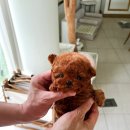 퍼피라이프 이미지