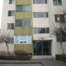 분당-263 이미지