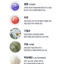 네이처픽스 팜