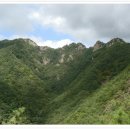 영덕해산물 이미지