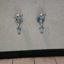 하늘채세탁 이미지