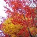 순흥농원 이미지