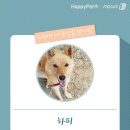 하피 - 천안시 동남구 서부대로 293 | 하피