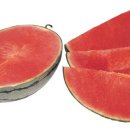 이석농장 이미지