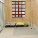 나무애견유치원 이미지