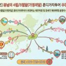 제주투어매니저