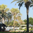 임신기록 #9 / Hyatt Regency Danang Resort And Spa...다낭 리조트 앤드 스파) 2박 3 태교여행 후기