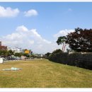 홍주의사총 이미지