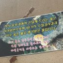 박터진흥부네 이미지