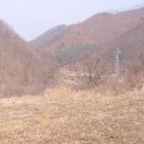 인선공인중개사사무소 이미지