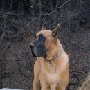 수정농장 이미지