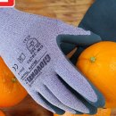 에스비 아쿠아 이미지