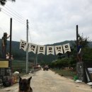 견생낙원 네이버블로그