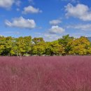 주소 맞은편 공원 이미지