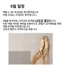 명리한약국 네이버블로그