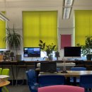 캠든어학원 이미지