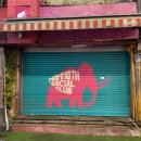 맘모스약국 이미지