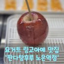 판다탕후루 | 대전 노은동 요거트 링고아메 맛집 &#39;판다탕후루&#39;