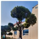 양촌여울체험캠프 | 볼거리, 가득한 하루 아이도 어른도 만족했던 양촌여울체험캠프