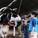 동두천목장 이미지