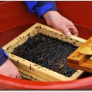 에덴펜션 이미지