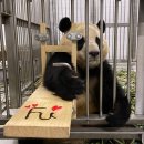 바오메디칼 이미지