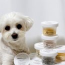 어뇽어뇽 이미지