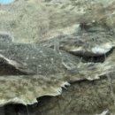 서인천월드메르디앙아파트 맞은편 이미지