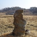 낙동강원시비경탐방로 이미지