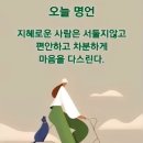 아침꽃향기