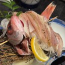 백산우체국 | 부산 중앙동 맛집 [이정태 본참치] 생일기념 참치회 프리미엄 코스 후기