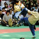 결련택견전수관