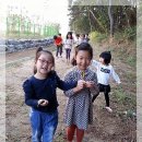봉대초등학교 병설유치원 이미지
