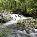 인천중앙한의원 이미지