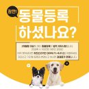블레스동물메디컬센터 이미지