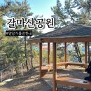 영암공원 | 영암 가볼만한곳 뒷동네처럼 가볍게 다녀온 갈마산 공원 산책 후기