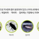 월드환경 이미지