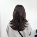 H STUDIO | 당산 미용실 H studio 재방문 후기 자연스럽게 다녀온 기록