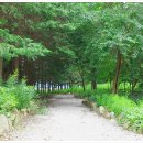 미동산수목원 이미지
