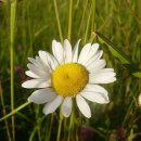 봉황세차장 이미지