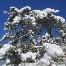 2월 13일 (월요일)[ 07:00 출발] 전남 광주 국립공원 무등산(해발1,187m) 새인봉 눈꽃산행 이미지