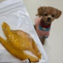 반려동물 수제간식 | 광주 반려동물 수제간식 전문점 놀고먹개 후기