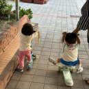 대동카아트 | 2025 추석연휴